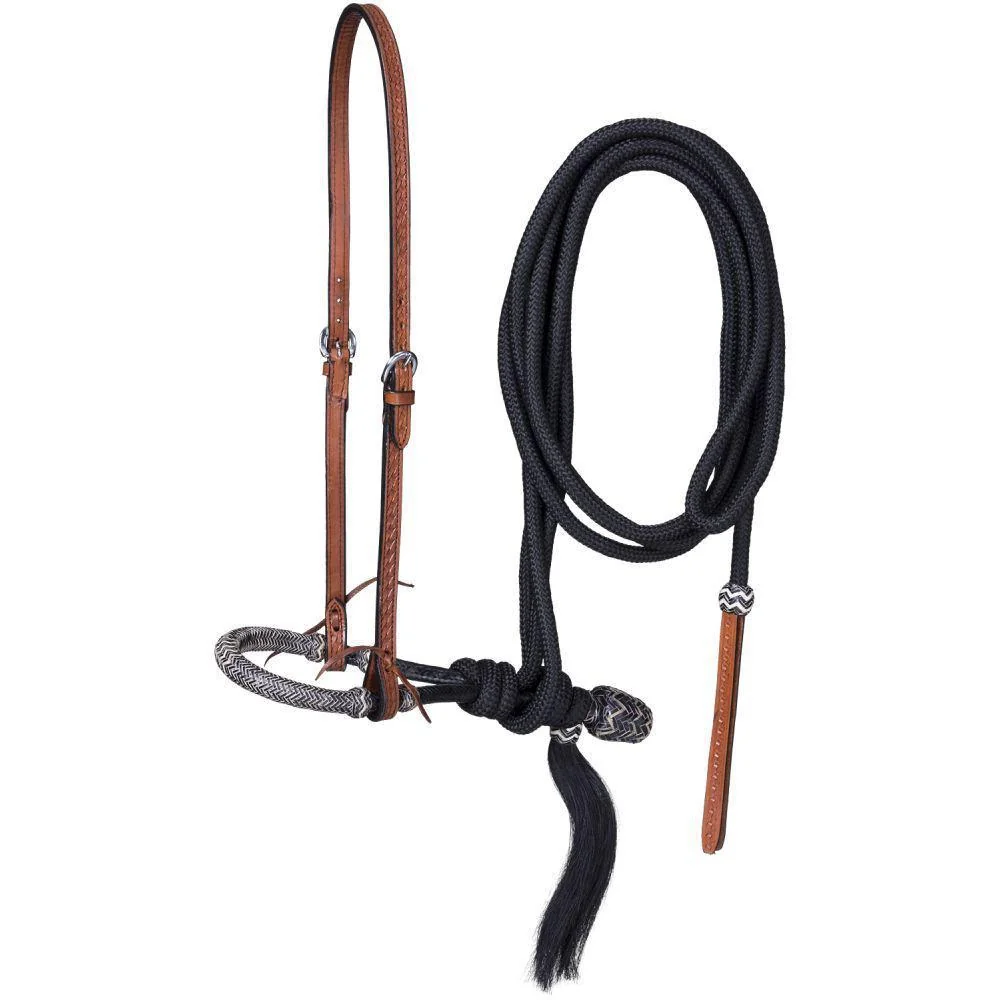 J. T. International Royal King Basketweave Bosal/Hanger/Mecate Set