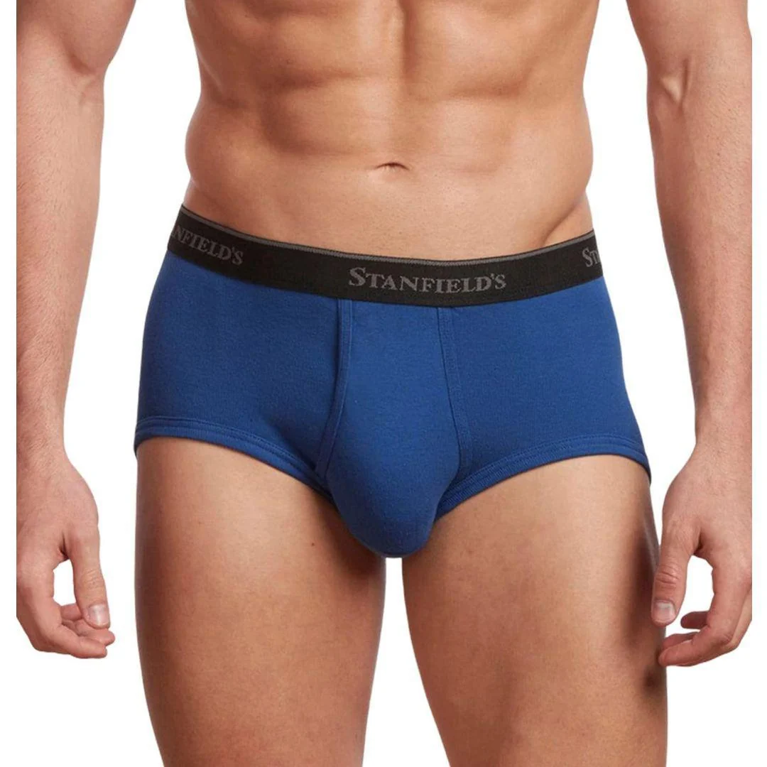 Stanfield's Men's Premium Brief - Three Pack - Image 3