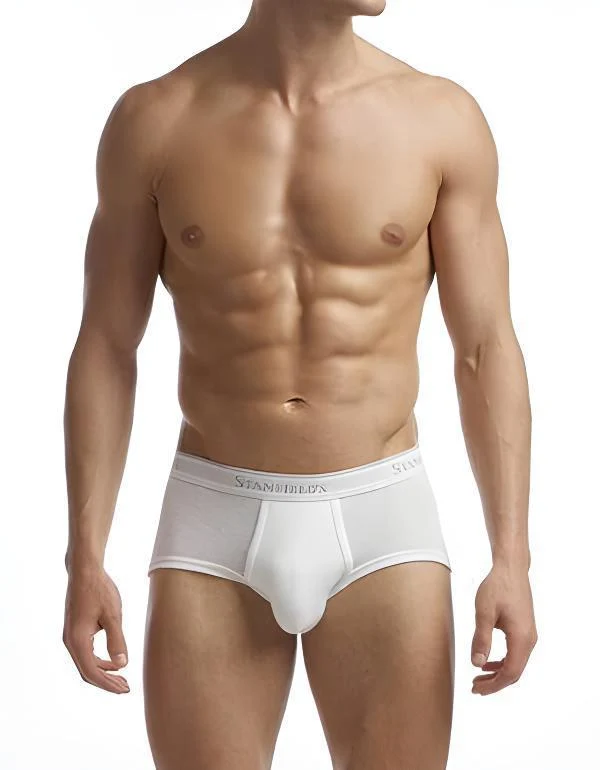 Stanfield's Men's Premium Brief - Three Pack - Image 4