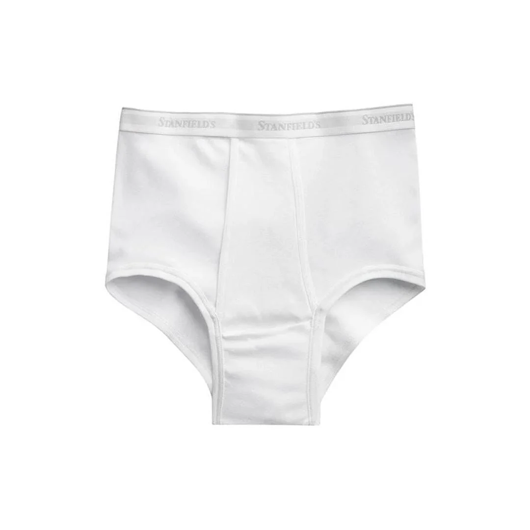 Stanfields Men's Supreme Briefs - Image 25